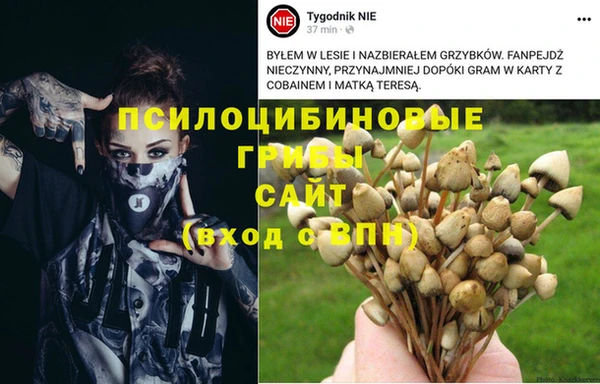 mdpv Арсеньев