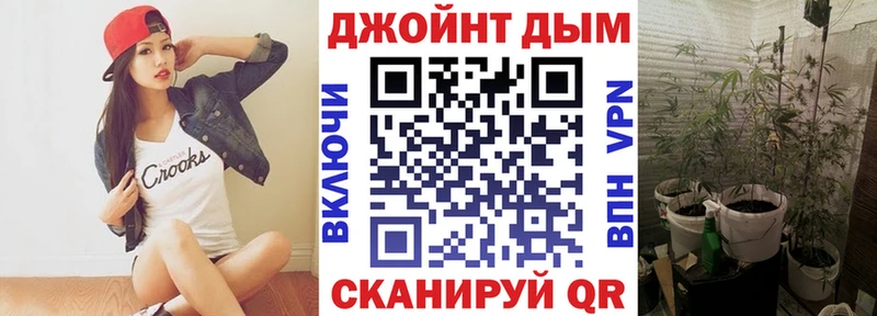 наркотики  Суздаль  Каннабис AK-47 